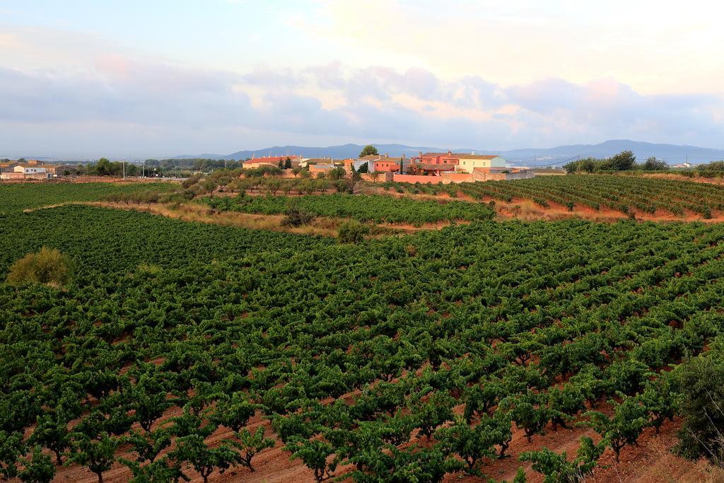 Отель Mas Castell De Gimenelles Sant Jaume dels Domenys Экстерьер фото