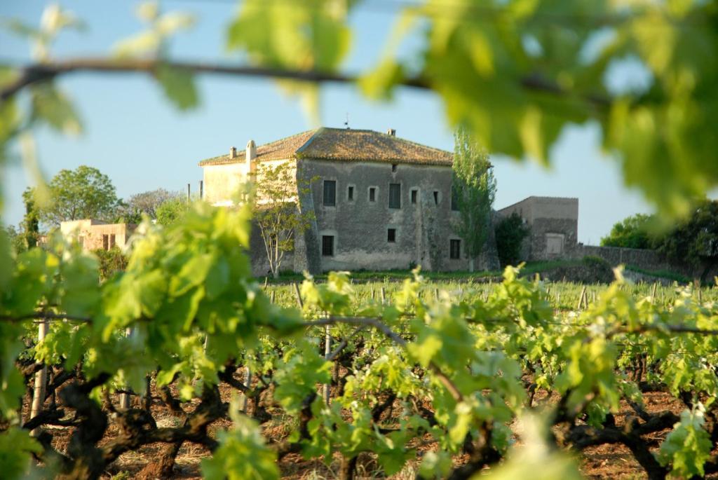 Отель Mas Castell De Gimenelles Sant Jaume dels Domenys Экстерьер фото