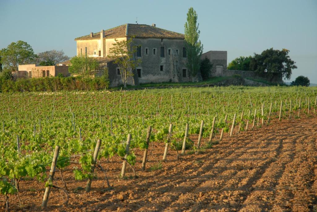 Отель Mas Castell De Gimenelles Sant Jaume dels Domenys Экстерьер фото